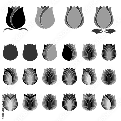 Fototapeta Naklejka Na Ścianę i Meble -  Tuliip, Flower symbol Set, vector