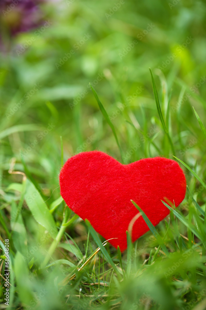 Small shape of heart on grass close-up Small shape of heart on grass close-up