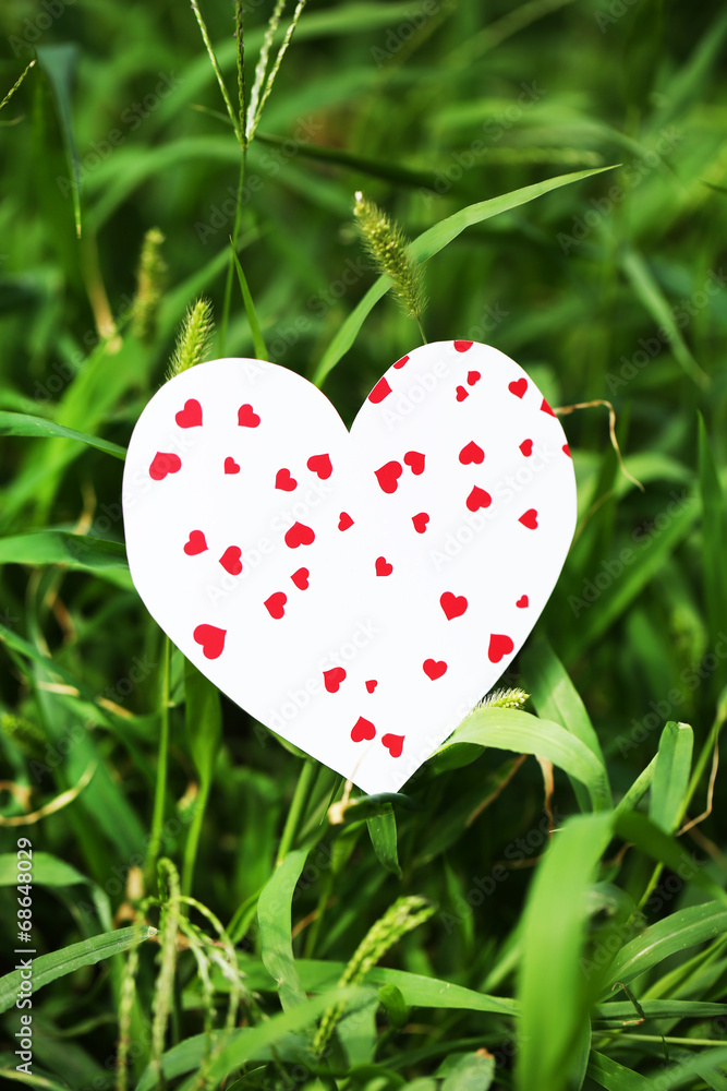 Small shape of heart on grass close-up Small shape of heart on grass close-up