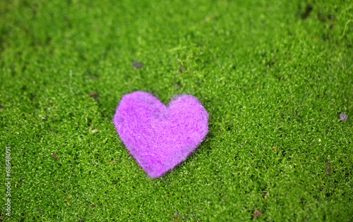 Small shape of heart on grass close-up