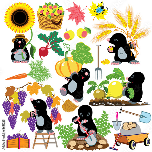 set with mole gardener