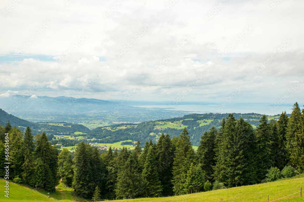 Landscape Landscape