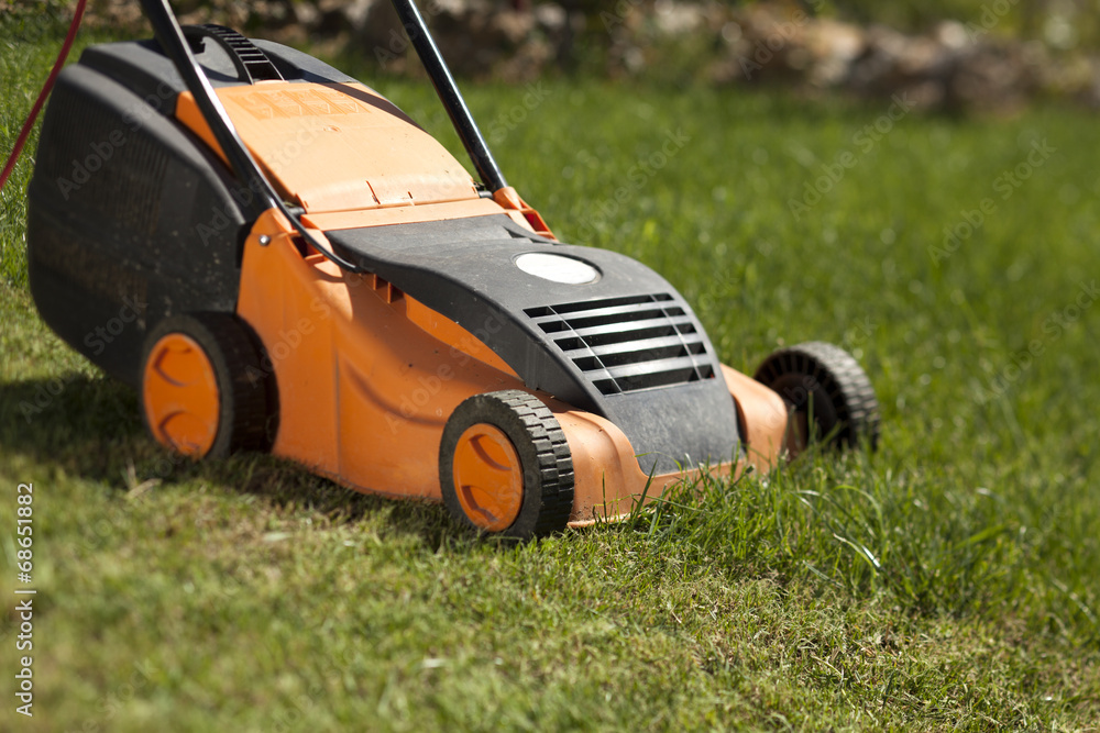 Mower grass in the lawn on a sunny day Mower grass in the lawn on a sunny day