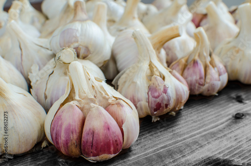 Bio garlic from bio herbs garden © Stepanek Photography