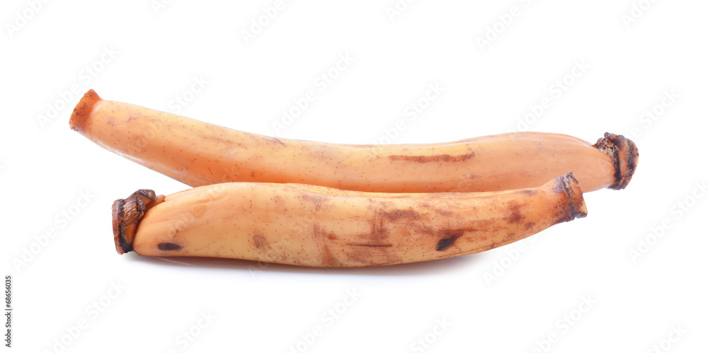 Lotus root on the white background Lotus root on the white background
