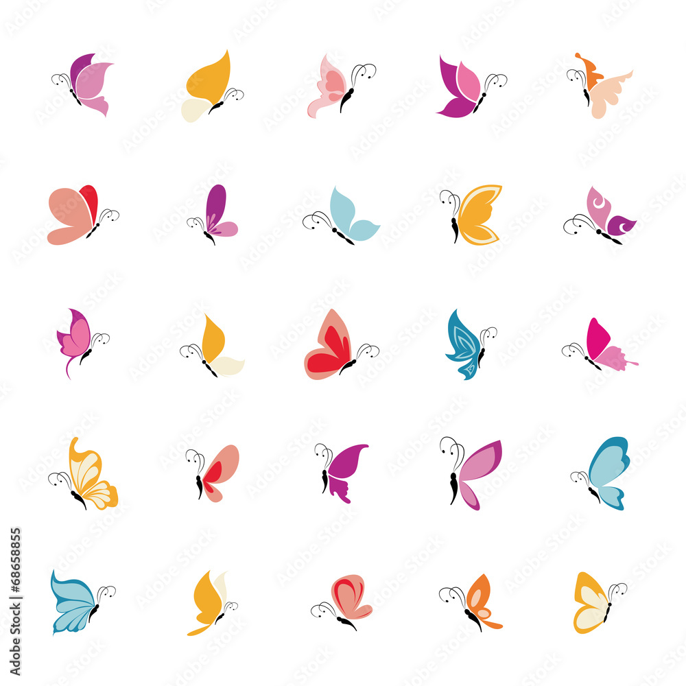 Butterflies Butterflies