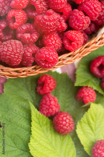 Sweet Organic Raspberries in a Basket