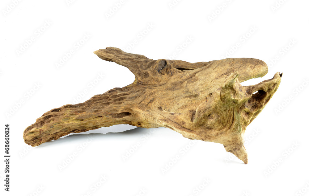 Old wooden stump Old wooden stump