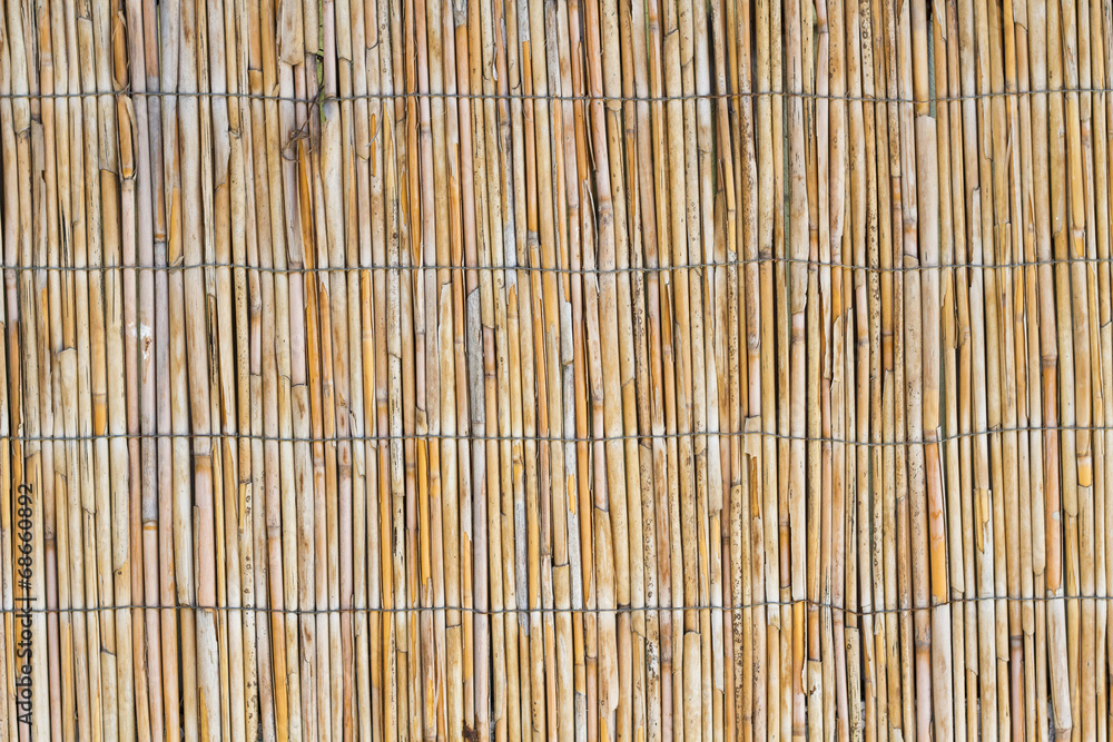 Beautiful texture Beautiful texture