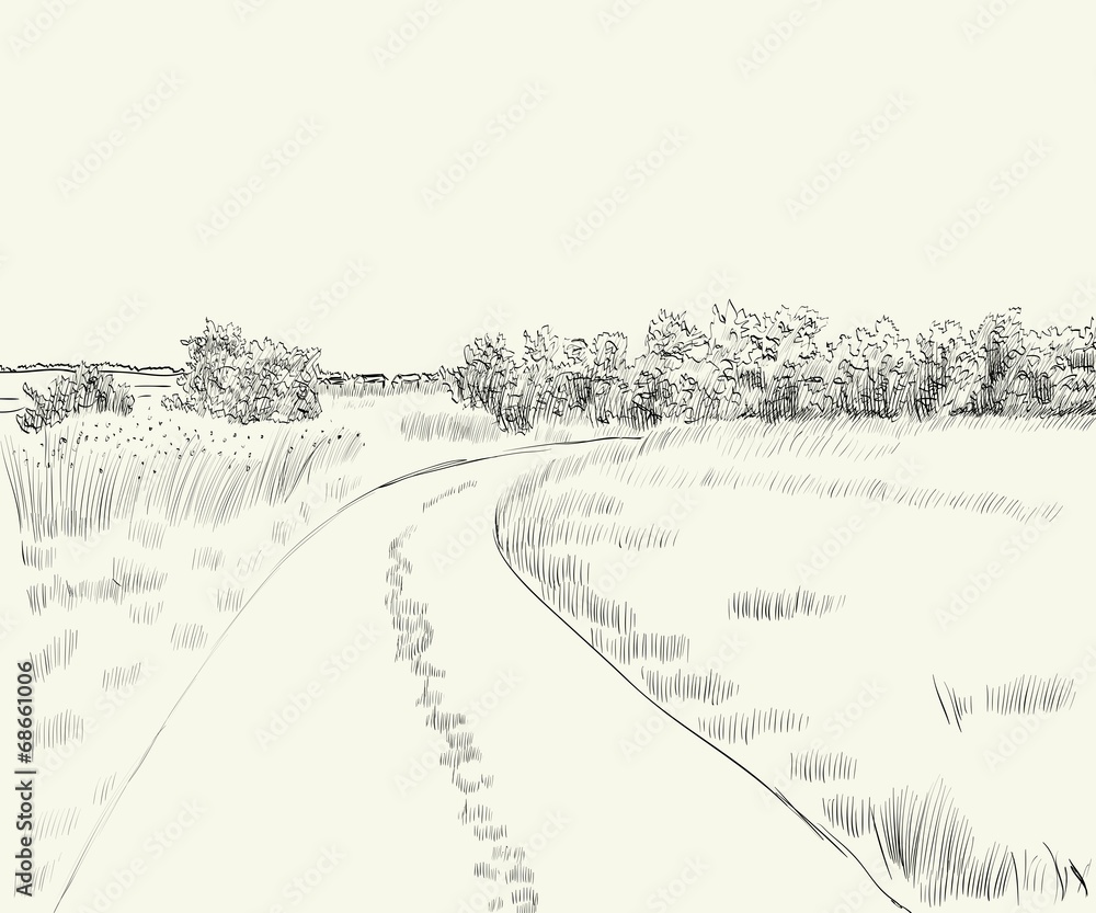 Naklejka premium Summer landscape