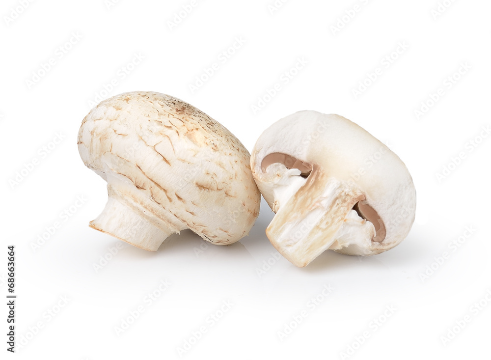 champignon mushroom isolated on white background champignon mushroom isolated on white background