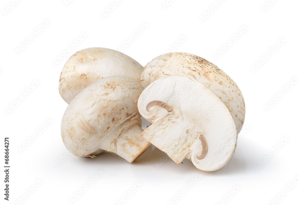 champignon mushroom isolated on white background champignon mushroom isolated on white background