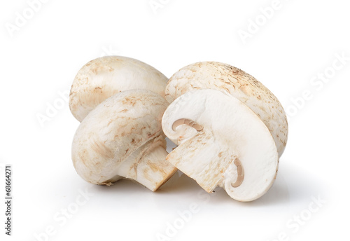 champignon mushroom isolated on white background