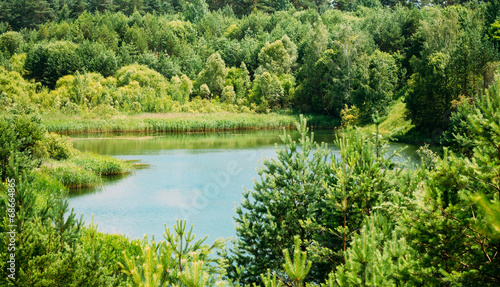 Summer Forest River Lake Pond Bog Landscape