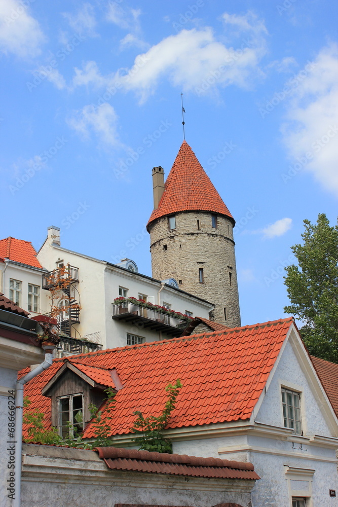 Wehrturm der Stadtmauer von Tallinn über der Altstadt