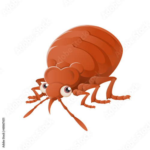 Bedbug