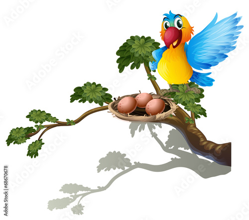 A bird watching the nest