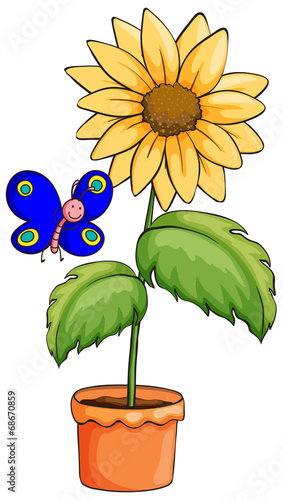 A butterfly near the pot with a flowering plant