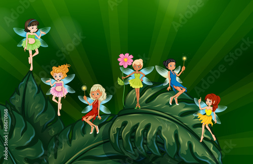 Cute fairies