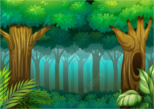 Deep Forest