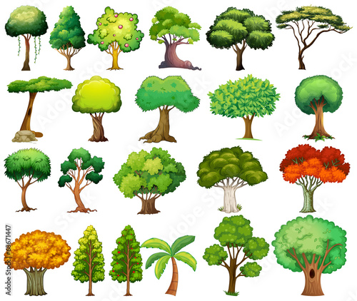 Set of trees
