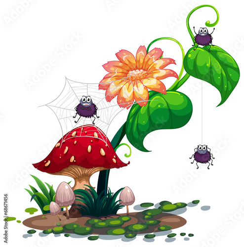 A plant with spiders