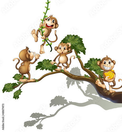 A tree with four monkeys