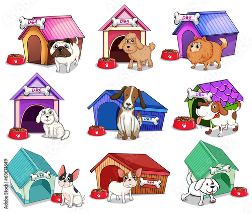 Dogs with houses