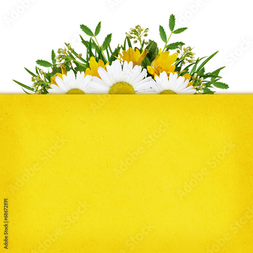 Wild flowers arrangement