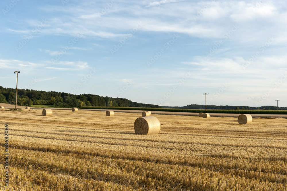 Fototapeta premium Ballen Heu in einem Feld