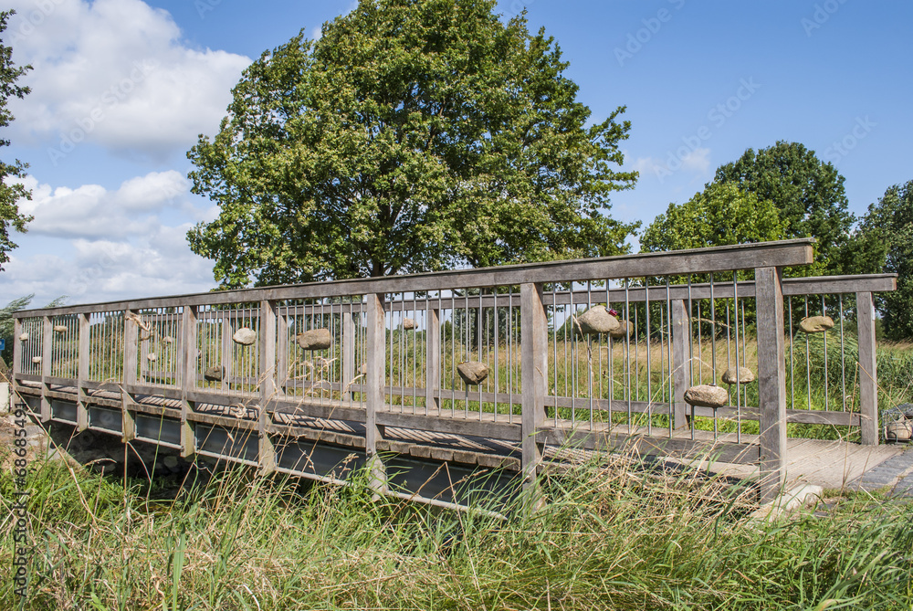 Wooden Footbridge in the Park