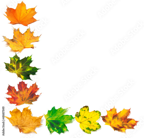 Letter L composed of autumn maple leafs