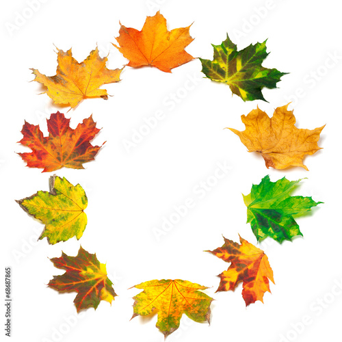 Letter O composed of autumn maple leafs