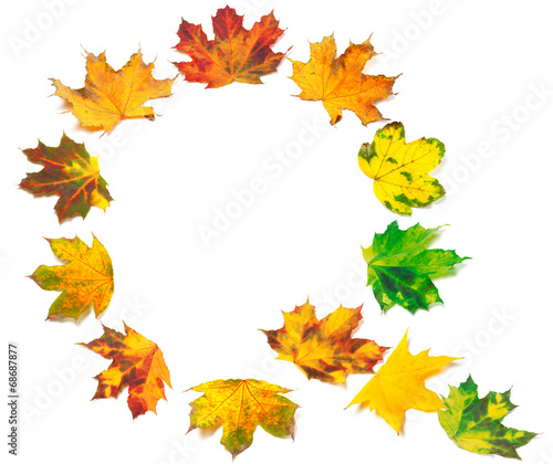 Letter Q composed of autumn maple leafs