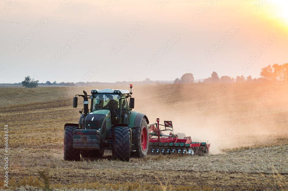 Fototapeta premium Traktor orzący pole podczas zachodu słońca