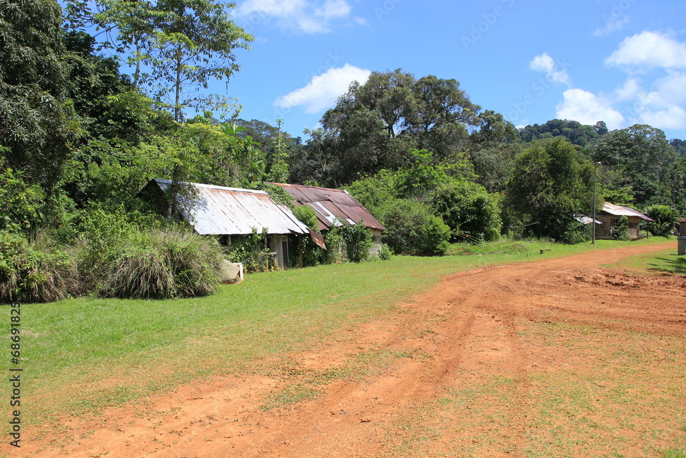 Guyane - Saül - Juillet 2014 Guyane - Saül - Juillet 2014