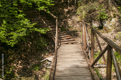 Wooden footbridge and stairs over mountain gully