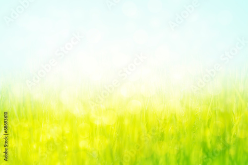 abstract spring green grass background with bokeh glitter light