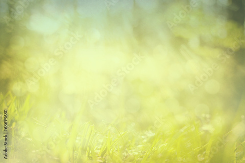 green abstract springtime and fresh background grass and glitter