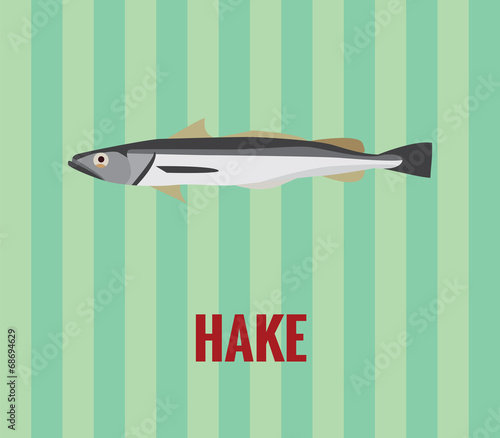 Hake - drawing on green background.