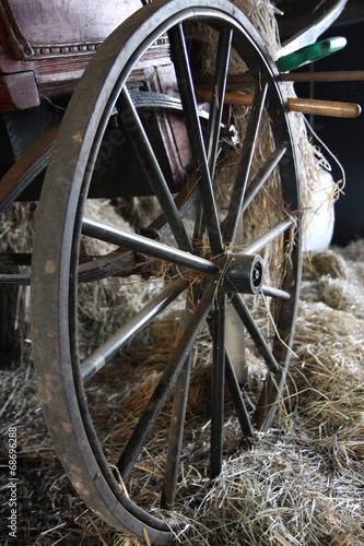 Cart wheel