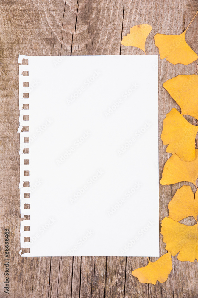 Sheet of paper and autumn leaves on wooden background