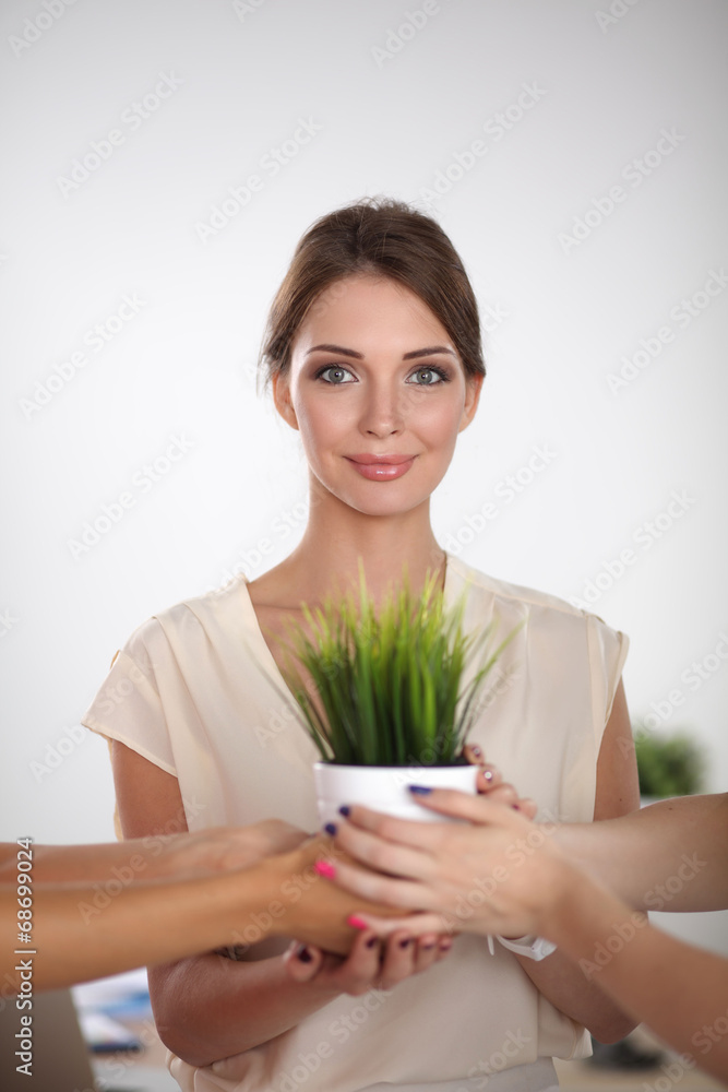 Closeup Of Businesspeople Hand Holding GrassTogether Closeup Of Businesspeople Hand Holding GrassTogether