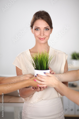 Closeup Of Businesspeople Hand Holding GrassTogether