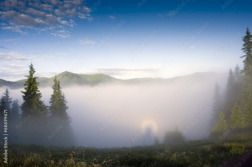 Fototapeta premium evening mountain plateau landscape (Carpathian, Ukraine)