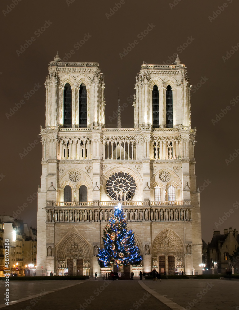 Fototapeta premium Notre Dame de Paris before Cristmas