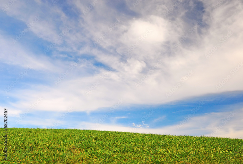 Blue sky, green grass