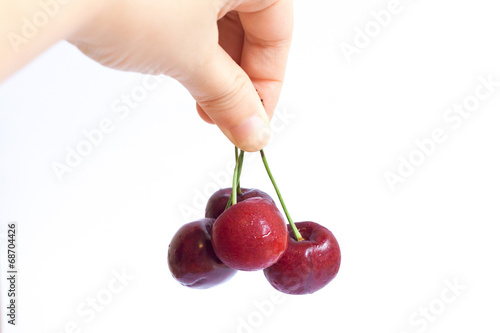 Hand holding fresh cherries