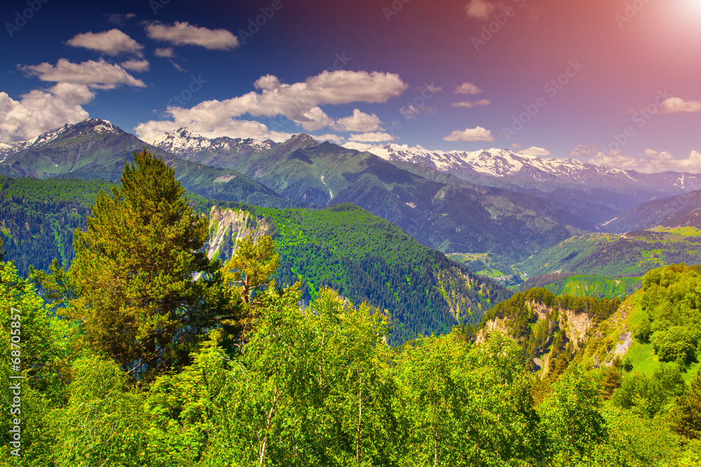 Alpine meadows in the Caucasus mountains.