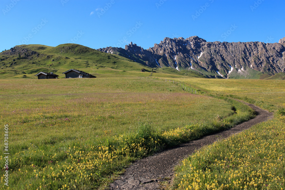 Obraz premium sentiero sull'Alpe di Siusi